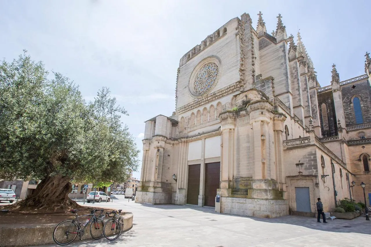 Can Gusti Manacor  Spain